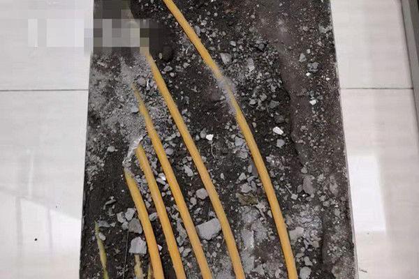 春運期間南航將新開鄭州至博鰲航線