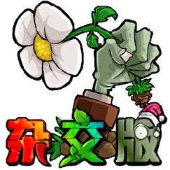 測肺活量的儀器叫什么