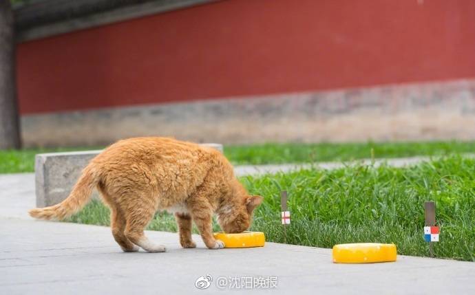 weixin