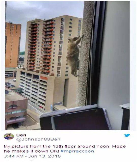 qq