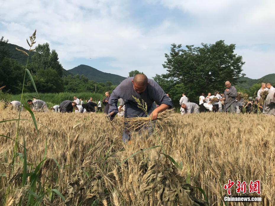 高血脂患者，容易被心腦血管疾病盯上，多吃這些食物有助降血脂