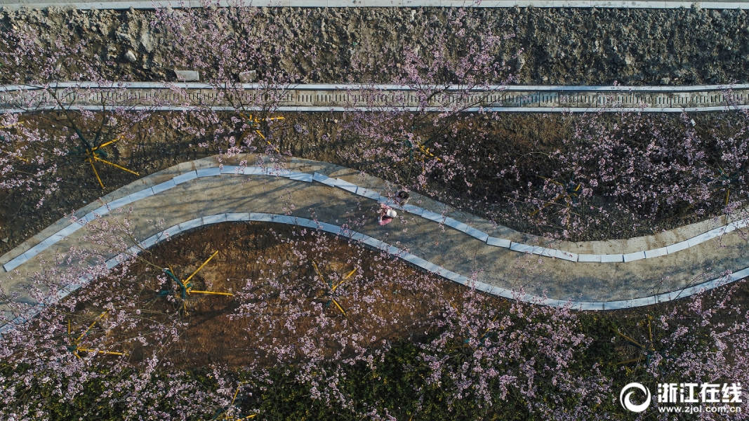 跑步熱菜什么梗的視頻