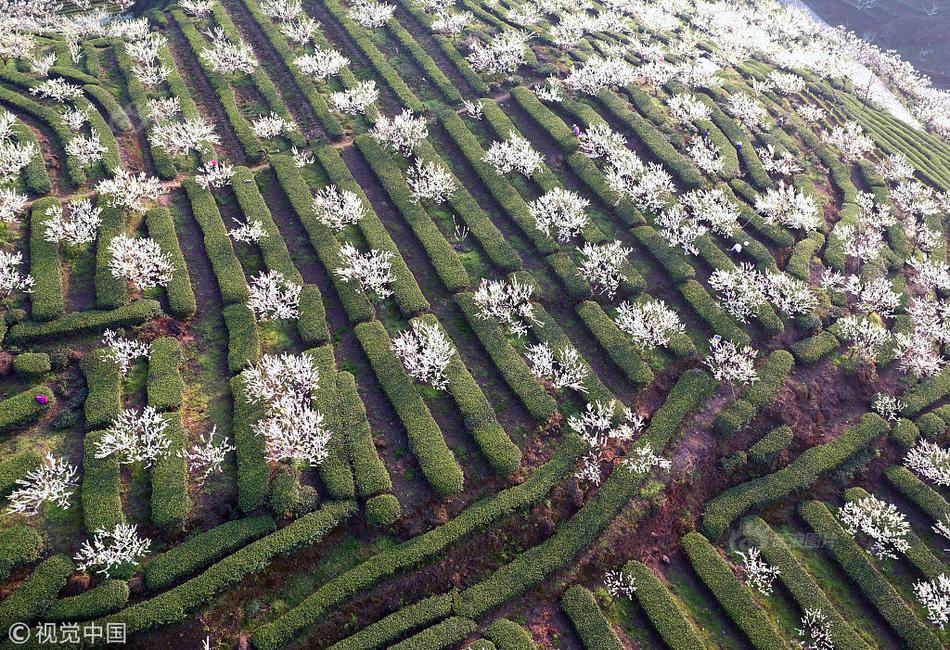 暑期文旅消費活動將超4000項
