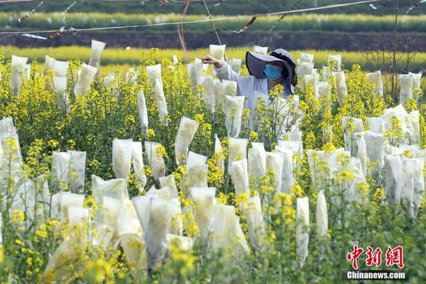 合肥新站高新區(qū)站北社區(qū)：志愿服務(wù)助力城市精細化管理提升