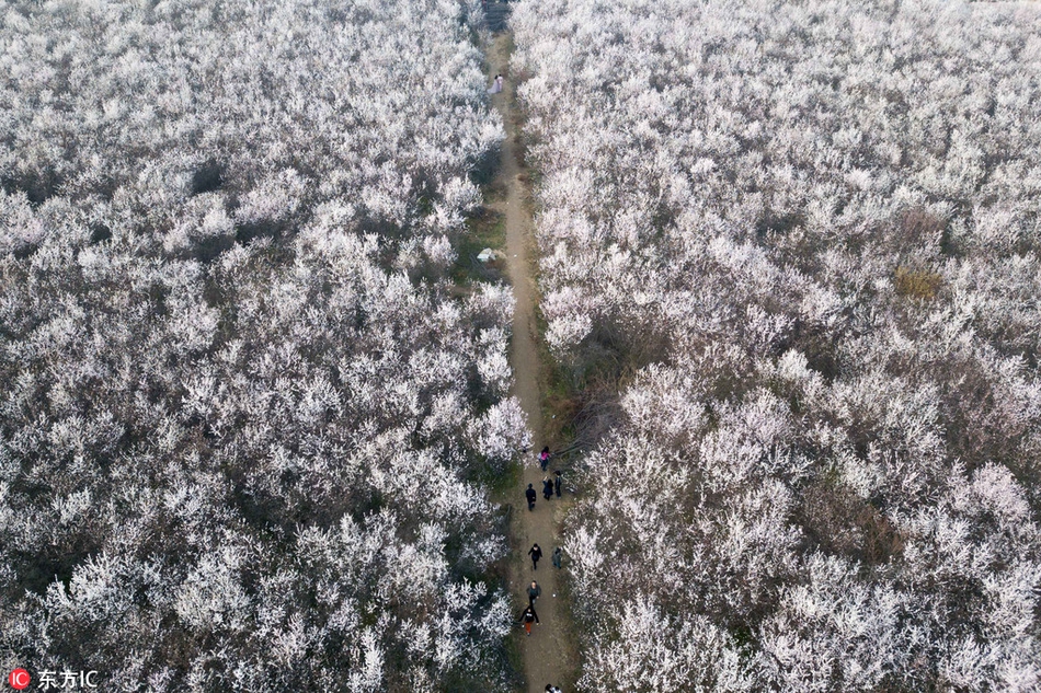 智齒反復(fù)發(fā)炎,結(jié)果臉頰爛穿洞:長了智齒,什么情況才需要拔?