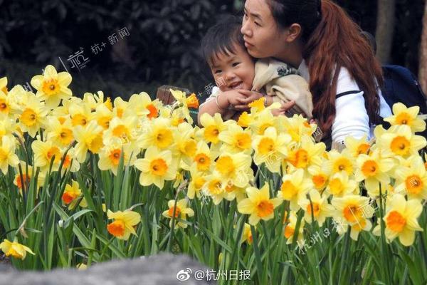 2025百萬醫(yī)療險(xiǎn)權(quán)威榜單揭曉！誰才是性價(jià)比之王？